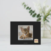 Die Feder ist tot. Postkarte (Stehend Vorderseite)