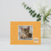 Die Feder ist tot. Postkarte (Stehend Vorderseite)