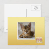 Die Feder ist tot. Postkarte (Vorne/Hinten)