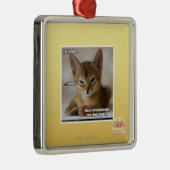 Die Feder ist tot Silbernes Ornament (Rechts)