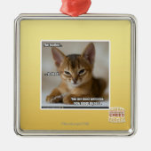 Die Feder ist tot Silbernes Ornament (Vorne)