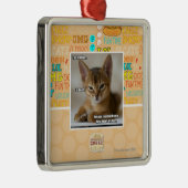 Die Feder ist tot Silbernes Ornament (Rechts)