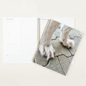 Die Fee Goofy Grinch Paws Planner Planer (Anzeige)
