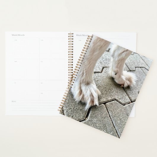 Die Fee Goofy Grinch Paws Planner Planer (Anzeige)