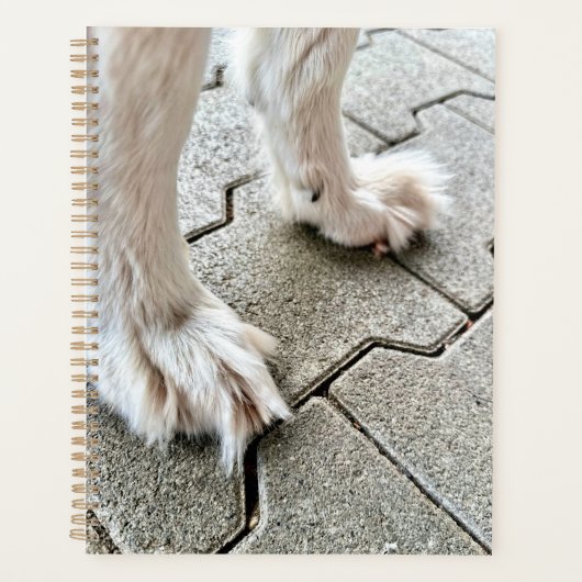 Die Fee Goofy Grinch Paws Planner Planer (Vorderseite)