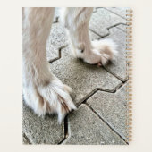 Die Fee Goofy Grinch Paws Planner Planer (Rückseite)