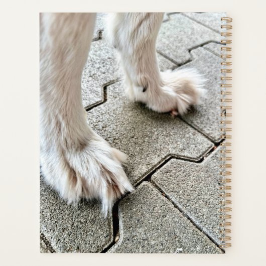 Die Fee Goofy Grinch Paws Planner Planer (Rückseite)