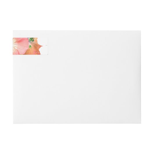 Die Fee kommt bald 3 (Vorderseite)