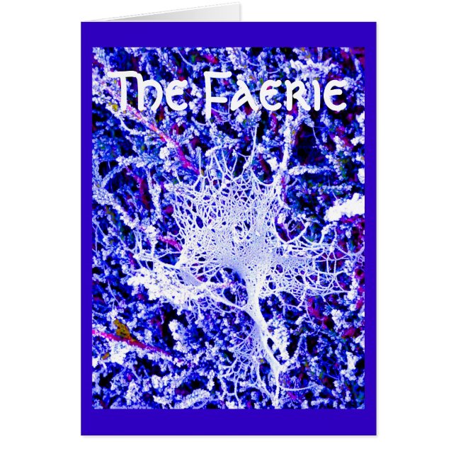 Die Fee - Spinnen-Netz (Vorne)