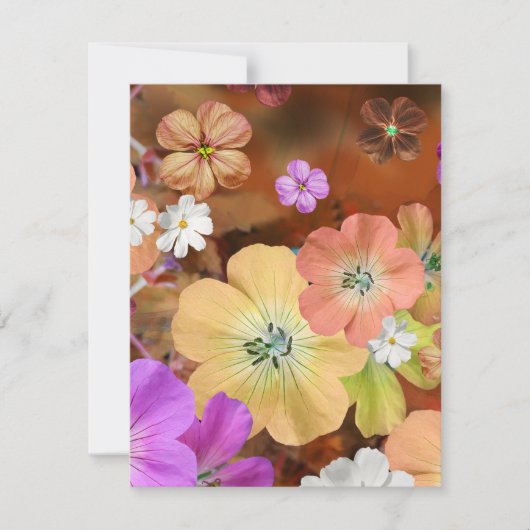 Die Fee wird bald 1 herauskommen Mitteilungskarte (Vorderseite)