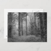 Die Feen von Werndee Woods No1 Postkarte (Vorne/Hinten)