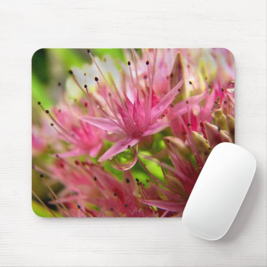 Die feenhafte Krone Mousepad (Mit Mouse)