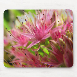 Die feenhafte Krone Mousepad