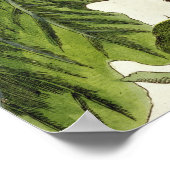 Die Feigenbaum, Platte 125 von "A Curious Herbal", Poster (Ecke)