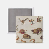 Die Feinde der Schlangen Magnet (Vorderseite/Rückseite)