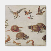 Die Feinde der Schlangen Magnet (Vorne)