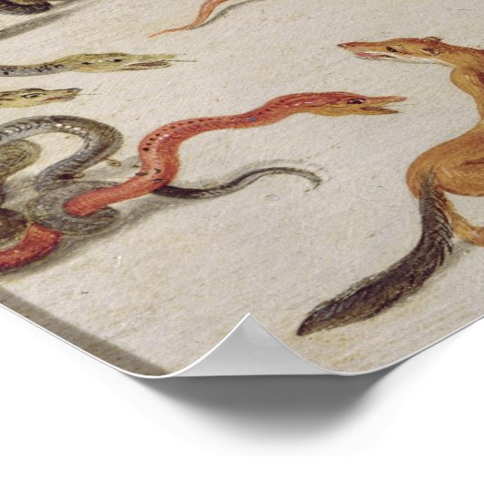 Die Feinde der Schlangen Poster (Ecke)