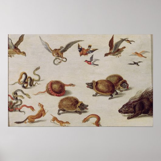 Die Feinde der Schlangen Poster (Vorne)