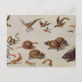 Die Feinde der Schlangen Postkarte (Vorderseite)