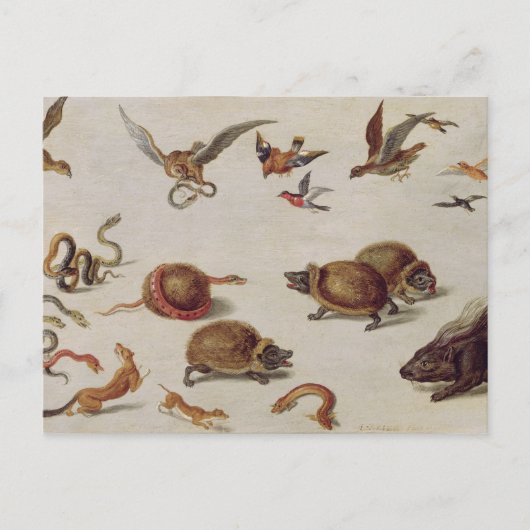 Die Feinde der Schlangen Postkarte (Vorderseite)