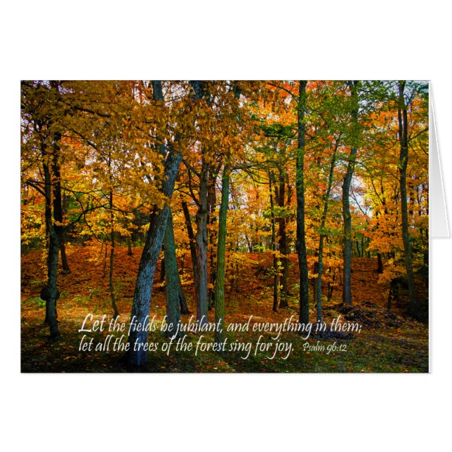 Die Felder werden als störend gelassen (Vorderseite (Horizontal))