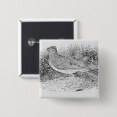 Die Feldlerche Button (Vorne & Hinten)