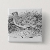 Die Feldlerche Button (Vorderseite)