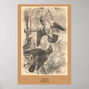 Die Feldpreise Poster