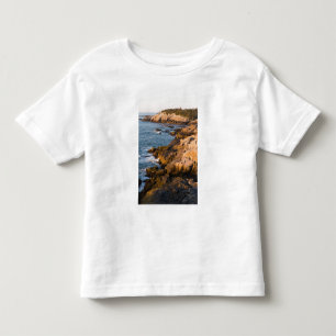 Die felsige Küste von Isle au Haut in Maines Kleinkind T-shirt