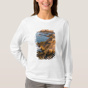 Die felsige Küste von Isle au Haut in Maines T-Shirt