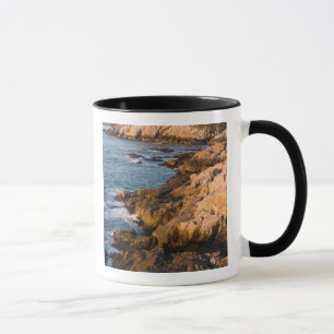 Die felsige Küste von Isle au Haut in Maines Tasse