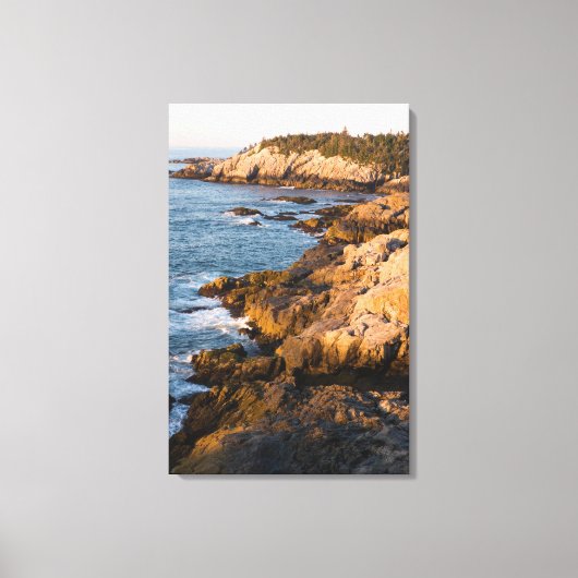 Die Felsküste von Isle au Haut in Maine Leinwanddruck (Vorderseite)