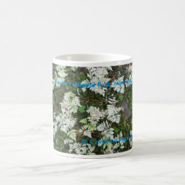 Die Fernen des Glacier Nationalparks, Tasse Montan