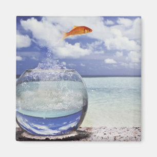 Die Fische springend vom Aquarium Magnet