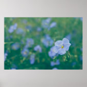 Die Flachsfabrik Poster (Vorne)