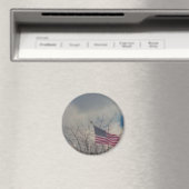 DIE FLAGE MAGNET (In Situ (Geschirrspüler))