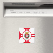 Die Flagge der Stadt São Paulo Magnet (In Situ (Geschirrspüler))