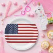 Die Flagge der USA Pappteller (Party)