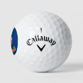Die Flagge von Idaho: der Staat von Gem, der Ameri Golfball (Logo)