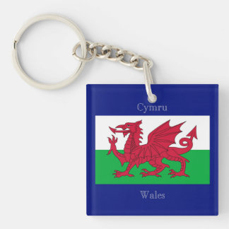 Die Flagge von Wales Schlüsselanhänger