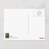 Die Flaggen Amerikas und des POS Postkarte (Rückseite)