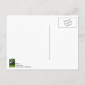 Die Flaggen Amerikas und des POS Postkarte (Rückseite)