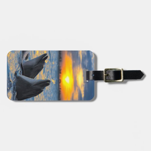 Die Flasche-gerochenen Delphine im Gepäckanhänger (Vorderseite horizontal)