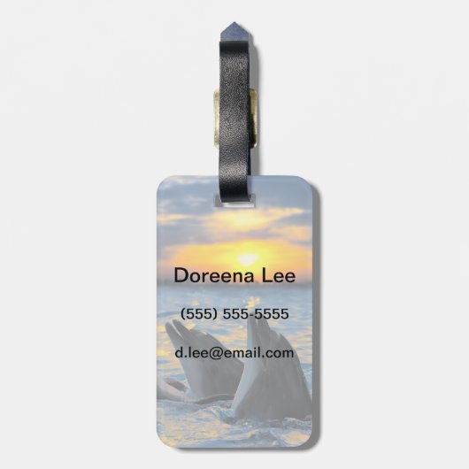 Die Flasche-gerochenen Delphine im Gepäckanhänger (Rückseite vertikal)