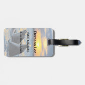 Die Flasche-gerochenen Delphine im Gepäckanhänger (Rückseite horizontal)