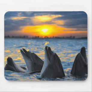 Die Flasche-gerochenen Delphine im Mousepad