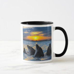 Die Flasche-gerochenen Delphine im Tasse
