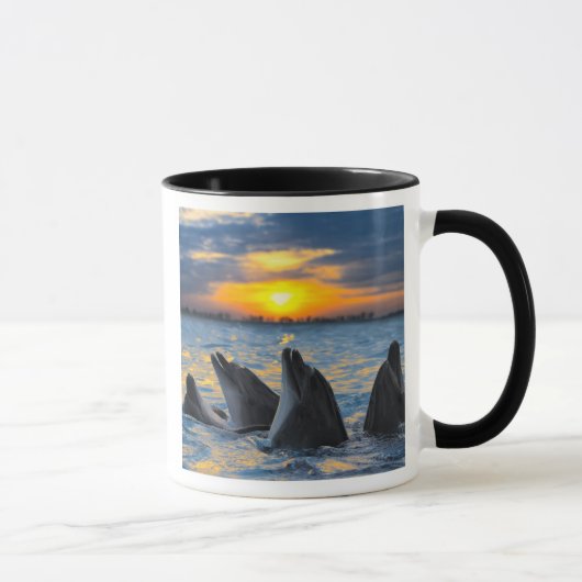 Die Flasche-gerochenen Delphine im Tasse (Rechts)