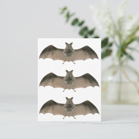 die Fledermaus Postkarte (Stehend Vorderseite)