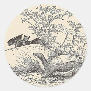 Die Fledermaus und der Nerz Runder Aufkleber